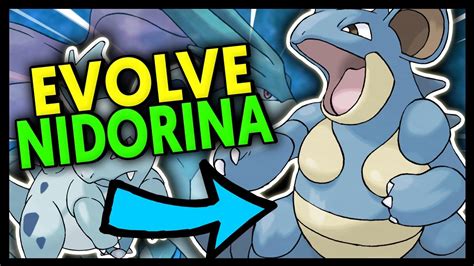 what level to evolve nidorina